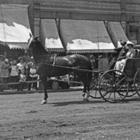 Union Stock Show Parade 1