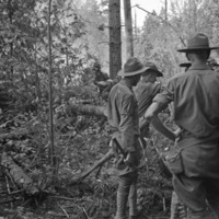 A group of soldiers, roughly eight to ten, stand together in a heavily wooded area with their backs to the camera.