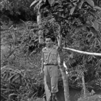 Fred Hill in the Jungle