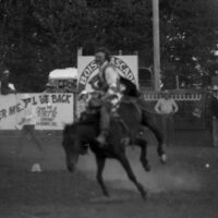 1979 Rodeo, Bronco Riding 04