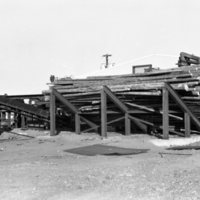 1980 Log Plant 07