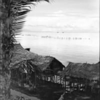 Biak Native Homes 3