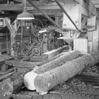 La Grande, Mt. Emily Sawmill 5