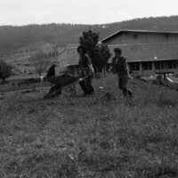 1981 Campus Tree Plantings 06