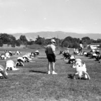 1980 Football Tryouts 16