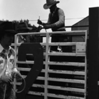 1981 Rodeo, Cowboys in Chute 13