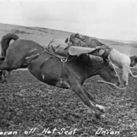 Union Stock Show, 1950 5