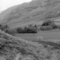 1980 Imnaha, May 14th Visit 01
