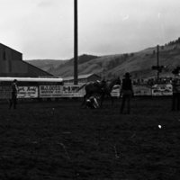 1982 EOSC Rodeo, Roping 06