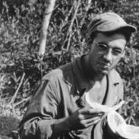 Fred Hill Eating Papaya