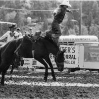 80's Rodeo, Bronco Riding 3-6