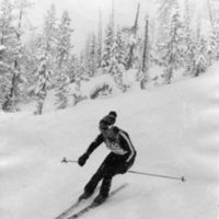 80's Skiing, Women's Competitive