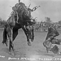 Rodeo, Bucking Bronco 3