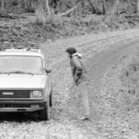 1987 Field Trip, Forest 18