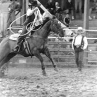 1991 Eastern Rodeo, Roping 04