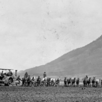 Alicel, Farming 2