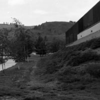 1981 Campus Tree Plantings 15
