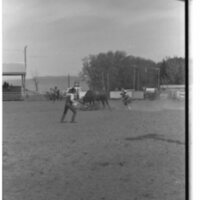 1989 Rodeo, Bull Riding 02