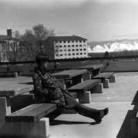 1976 Student, Outdoors