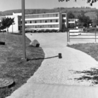 1987 Hoke Hall Sidewalk 03