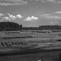 An elevated landscape view of military trucks and soldiers in lines in a wooded clearing. A stage is set up to the right