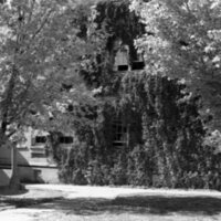 1978 Campus in Autumn 06