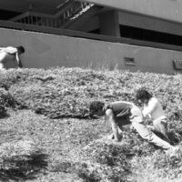 1984 Employees, Groundskeepers 10