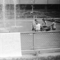 1981 Students, Fountain Swim 06