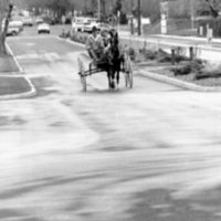 1988 Employee, Jack Johnson Carriage Ride 01
