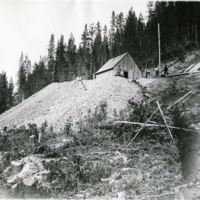 Grant, Blue Bird Mine 1