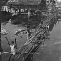 Bamboo Water Tubes 1