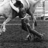 80's Rodeo, Bronco Riding 5