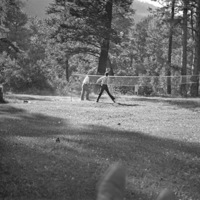 Reuter Group-NN, Badminton