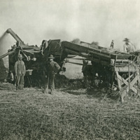 GRV, Threshing Operation 5