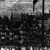 1985 Football Sideline 14