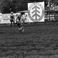 1986 Springfest, Rodeo Bronco Riding 08