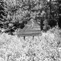 1981 Wallowa Mt. Field Station 51
