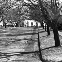1985 Campus, 8th Street Closure 03