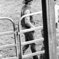 1986 Springfest, Rodeo Cowboys 10