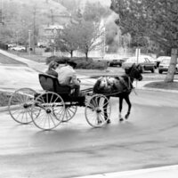 1988 Employee, Jack Johnson Carriage Ride 12