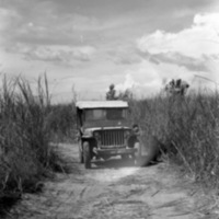 Mindoro, Jeep