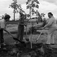1985 Soroptimist Tree Plantings 01