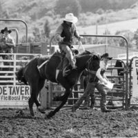 80's Rodeo, Bronco Riding 3-2
