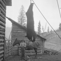 Oregon, Bear Hunting