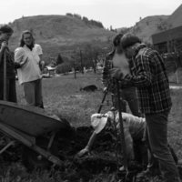 1981 Campus Tree Plantings 09