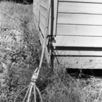 1981 Wallowa Mt. Field Station 53