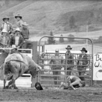 1984 Rodeo Club, Bull Riding 05