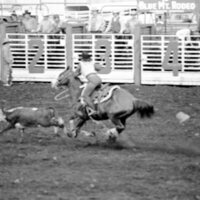 1978 Rodeo, Roping 07