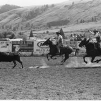 1979 Rodeo, Roping Pairs 03