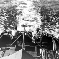 Mindoro, Fishing 1